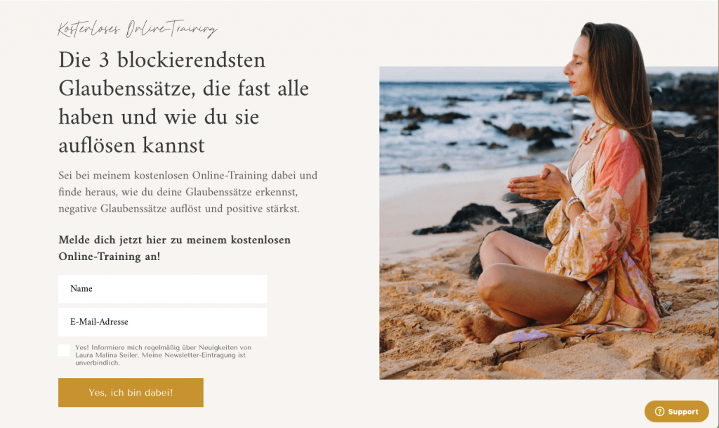 Webinar Freebie Beispiel 2